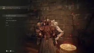 Elden Ring OP Build From A Souls Rookie