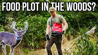 Ultimate Guide to Low-Cost Food Plots in Hard to Reach Places