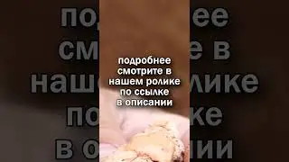 Как определить состав горных пород? #наука #геология #shorts #кислота #co2