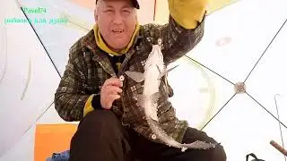 За подлещиком!