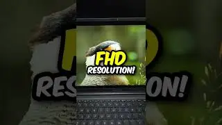 Alin ba mas maganda? HP or ASUS?