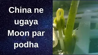 China Grows First Ever Plant on Moon [Hindi] Brahmand #5