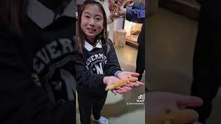 Best Animal Cafe in Seoul, Guarantee Your Kids Gonna Love It‼️