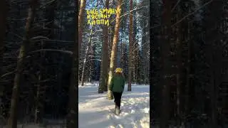 🤲🏼🌱🪵#природа #деревня #умиротворение #рекомендации #shorts