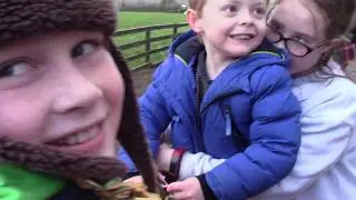 Cannon Hall Farm, January 2020