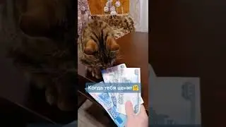 Это всё мне? New Tik Tok. Приколы Тик Ток лыба