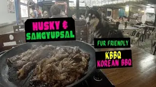 Fur Friendly Food Spot (Teachers Village / Sikatuna Village QC)