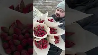 Тюльпан strong Power