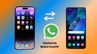 Transférer des Conversations WhatsApp d'Android vers iPhone en 2022 facilement