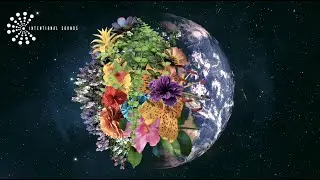 🎉 Happy Earth Day 🌎  Meditation I Apr 22 Gaia, Our Planet, Our Home