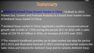 China Ambient (Canned) Soup (Soups) Market Size, Growth, Outlook and Forecast 2021