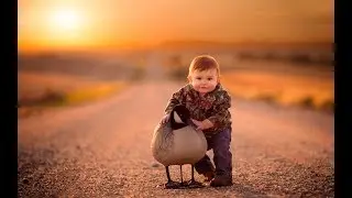Free the Animals