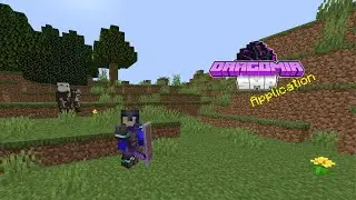 Dragonmir SMP Application! (Accepted!)