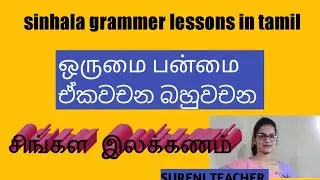 Second Language Sinhala ஒருமை பன்மை. ඒකවචන බහුවචන 2021