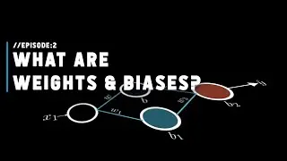 What are weights and biases in  deep learning? | Episode 2, S01, Deep Learning