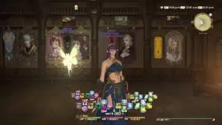 Final Fantasy XIV W Cross HotBar (WXHB) Tutorial