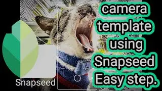 How to put a mobile camera template using Snapseed app.