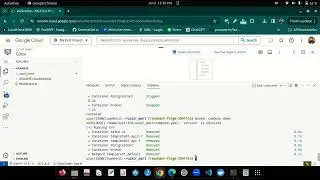 Dockerize Containers for Free in Google Cloud Shell Terminal