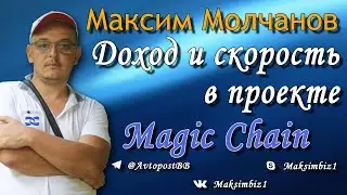 Скоростная живая очередь Magic Chain