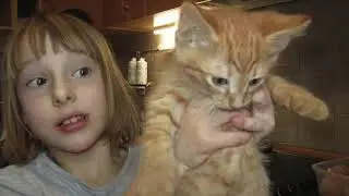 Китины котята!!!