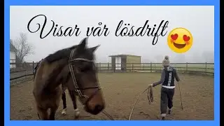 God fortsättning & välkommen 2020 😍/VLOGG