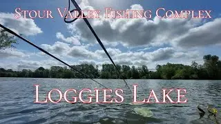 stour valley fishing complex loggies lake