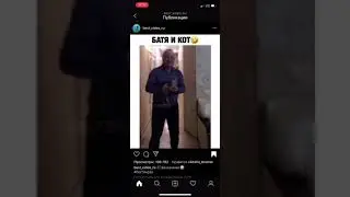 Удачная поездка кота 🐱
