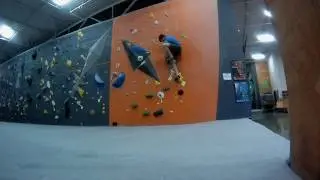 Like a bird