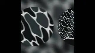 「PV」Going Steady