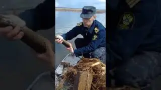 Рыбинспектор