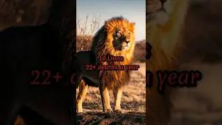 Top 10 most dangerous animals that can kill humans #top10 #animals #shorts
