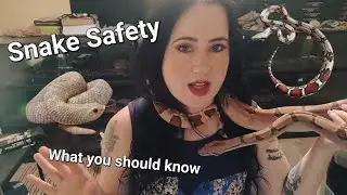 Snake Safety! Advice and Education 🐍