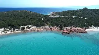 CAPO CODA CAVALLO