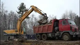 Татра в своей среде обитания.