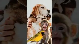 Animals moments 🦆💕❤️ 