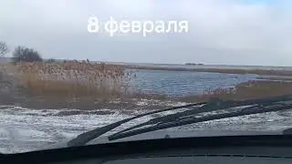 8 февраля 2025 г.