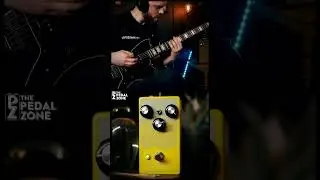 Blumes Sounds Great on Guitar! @EarthQuakerDevices Blumes #drive #pedal #guitar #thepedalzone
