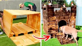 Ideias criativas de casas para cães para seu amigo peludo!