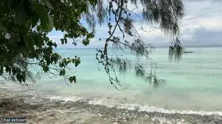 Pemba - Impressionen - 26.3.2025