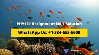 PHY101 Assignment No. 1 Solution Spring 2023
