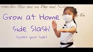 Learn the Side Slash with Mindful Wing Chun