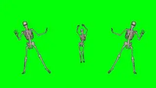 Skeleton dancing animation green screen video