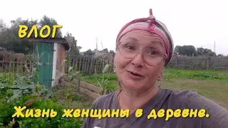 Завтракаем. Делаю крышу в сарае. Собираем урожай.