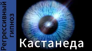 Кастанеда. Союзники 2.   Страж другого мира