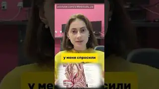 Вопрос на собеседовании на медицину в Чехии 🤯