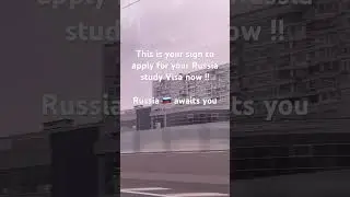 This your sign to apply for that visa now!! What’s the worst that can happen 