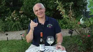 Lingua franca Avani Chardonnay 2021, Wild Wine Life