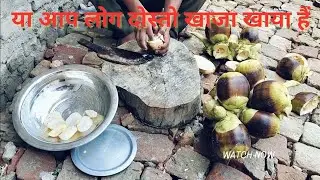 क्या आप लोग दोस्तो खाजा खाया हैं