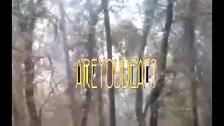 AREYOUDEAF? - WTF!