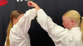 Pensum Taifu Minikarate 2. streg